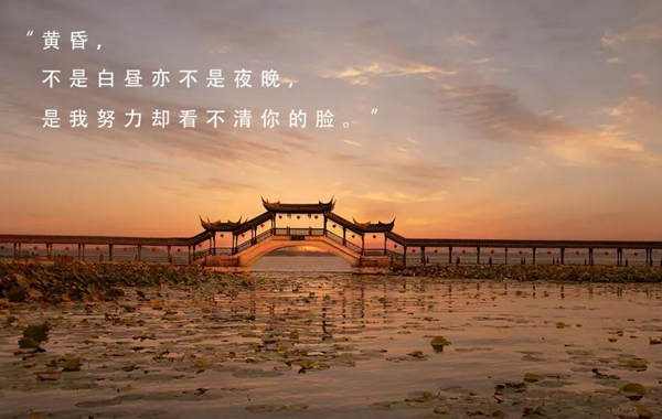 【情景锦溪】中秋来锦溪打卡，听风赏月尝秋食